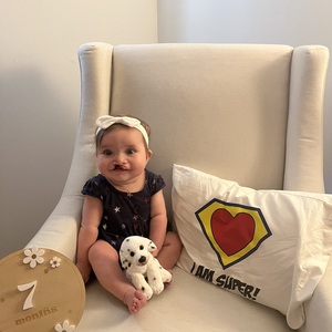 Team Page: Team Palmer